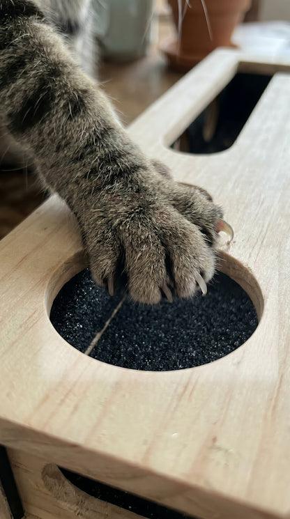 Purrfect Pedi Box