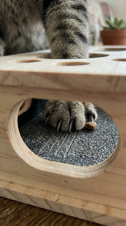 Purrfect Pedi Box